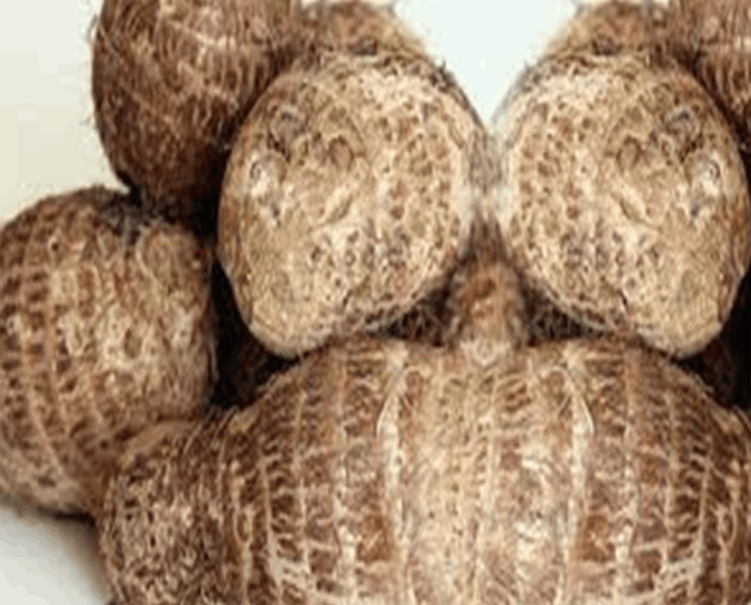 cocoyam-ede