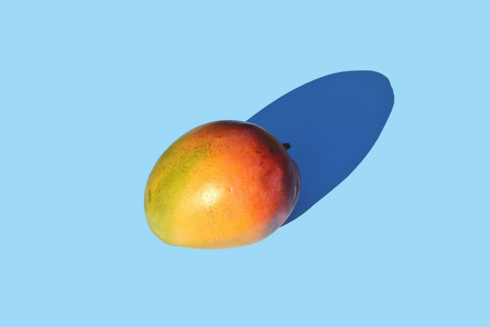 Mango Fruit