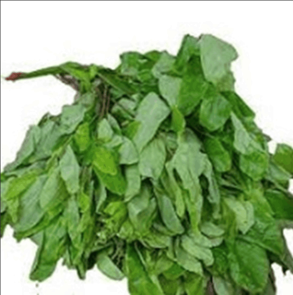 freah-dried-oha-african-rose-wood-plan-leave