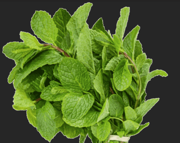 fresh-and-dried-nchuanwu-scent-leaves