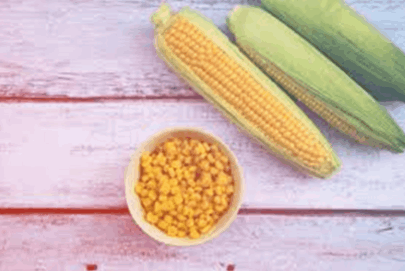 Palm Kernels