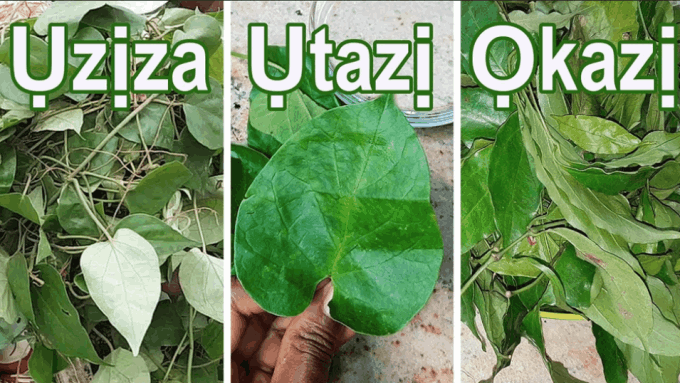 utazi-uziza